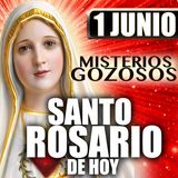 Santo Rosario 🌹 Lunes 1 de Junio ❤️‍🔥 mes del Sagrado Corazón de Jesús #MisteriosGozosos
