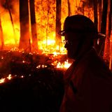 Australia's bushfires fuel the climate change debate
