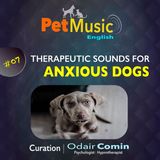 #07 Therapeutic Sounds for Anxious Dogs | PetMusic