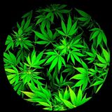 Noticias del mundo del Cannabis