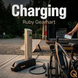 Charging - Finding Power in the Wild