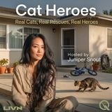 Cat Heroes - Cats Under Fire: Feline Courage in War and Disaster