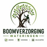 Hoe bomen bijdragen aan een gezonde leefomgeving