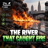 The River That Caught Fire