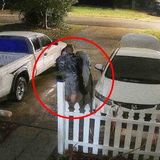 Psychopath Caught On Camera Carrying A Body | Red Tree Crime