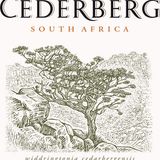 Cederberg - David Nieuwoudt