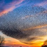 Heart Leadership: Learning of the heart