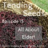Ep 15 - All About Elder