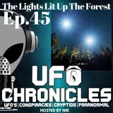 Ep.45 The Lights Lit Up The Forest (Throwback Thursdays)