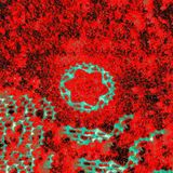 03 - Glimt i hverandre (Gibberish og poesi)