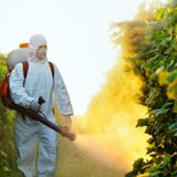 Europa pro agricoltori: no al rispetto dell’obiettivo climatico 2024 e via la legge sui pesticidi