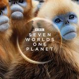 Dr Jonny Keeling From BBC America's Seven Worlds One Planet