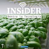 Planet Farms: l'agricoltura verticale che produce verdura di qualità