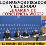 Los nuevos pecados y el Sínodo. ¿Examen de conciencia woke? Reacción del Cardenal Müller.