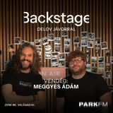 A saját zenei elképzelések helyett a közönségre kell fókuszálni: Meggyes Ádám | Park FM – Backstage