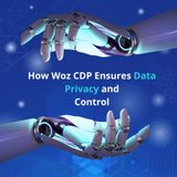 How Woz CDP Ensures Data Privacy and Control