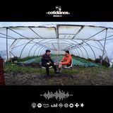 COTIDIANOS: Regenerando la Tierra desde Vitoria-Gasteiz con Joseba Vigalondo | Capítulo 48 | T3