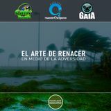NUESTRO OXÍGENO El arte de renacer en medio de la adversidad