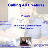Calling All Creatures Presents The Animal Communicator, Sue London