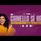 ​ ¿Hay Trabajo en Colombia El Verdadero Panorama Laboral con Expertos  Pulzo