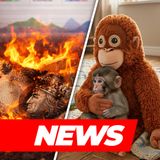 NEWSY marketingowe LUTY: viralowa kampania, trendy social media, zmiany na TikToku i w META