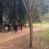 Adescavano uomini online e li rapinavano nei parchi: arrestati fratello e sorella