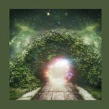 #217 Il giardino è un Universo