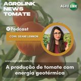 A produção de tomate com energia geotérmica