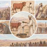 #ShiurimDiShabbat: Hukat