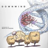 Special Report: Mark Shapiro on Downwind (2023)