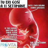 Il Comune di Roma aveva torto e Provita ragione
