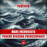 Mare Incrociato, Come Riconoscerlo: Ecco Perché Bisogna Preoccuparsi!