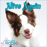 Alive Again - Episode 78 Understanding Pet Energy. Different Kinds of Pet Energy with Brent Atwater