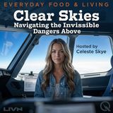 Clear Skies - The Pilot's Invisible Playbook