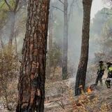 En Clave Rural: El fuego arrasa 108.000 hectáreas tras la inacción y la falta de limpieza del monte