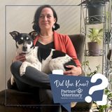 Grieving the Loss of a Pet with Dr. Melissa Miller