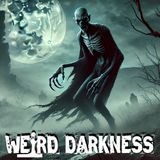 WD20251026A-JureGrando