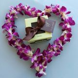 4.1 - Treatment Plan