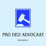 Hoe werkt het pro deo systeem in Nederland vergeleken met andere landen?
