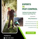 Termite Control Gilbert – Arizona Pest Solutions