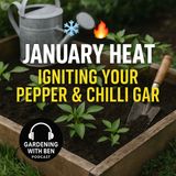 🎧 🔥 January Heat: Igniting Your Pepper & Chilli Garden 🌱🌶️