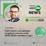 Preços do tomate registram queda no atacado influenciado por boa oferta nos mercados