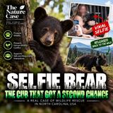 Selfie Bear — The Cub That Got a Second Chance
