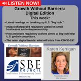Growth Without Barriers - DIGITAL EDITION: Hearings in U.S. House on breaking up U.S. "big tech"; update on latest digital trends.