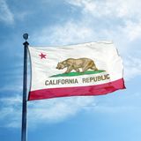 The Insanity Of The State Of California