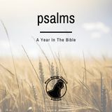 Psalms | Living In A Spacious Place - Psalm 31