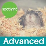 CRISPR and the Angry Hamsters (Advanced Program)