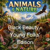 Black Beauty - Young Folks' Edition - Anna Sewell
