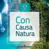 Con Causa Natura 16 - En diálogos sobre apoyos a la pesca con Diputada Federal Claudia Yañez