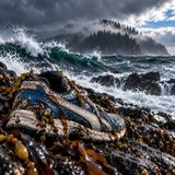 Terrifying & True | Severed Feet on the Shore: The Bizarre Mystery Haunting British Columbia